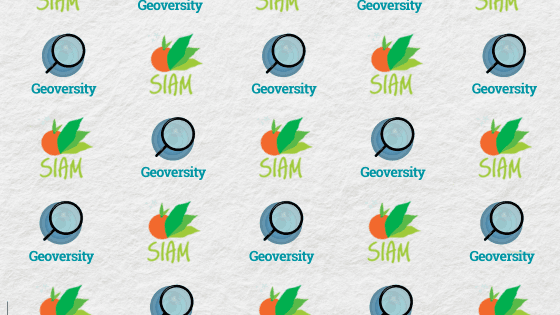 Lancement de Geoversity